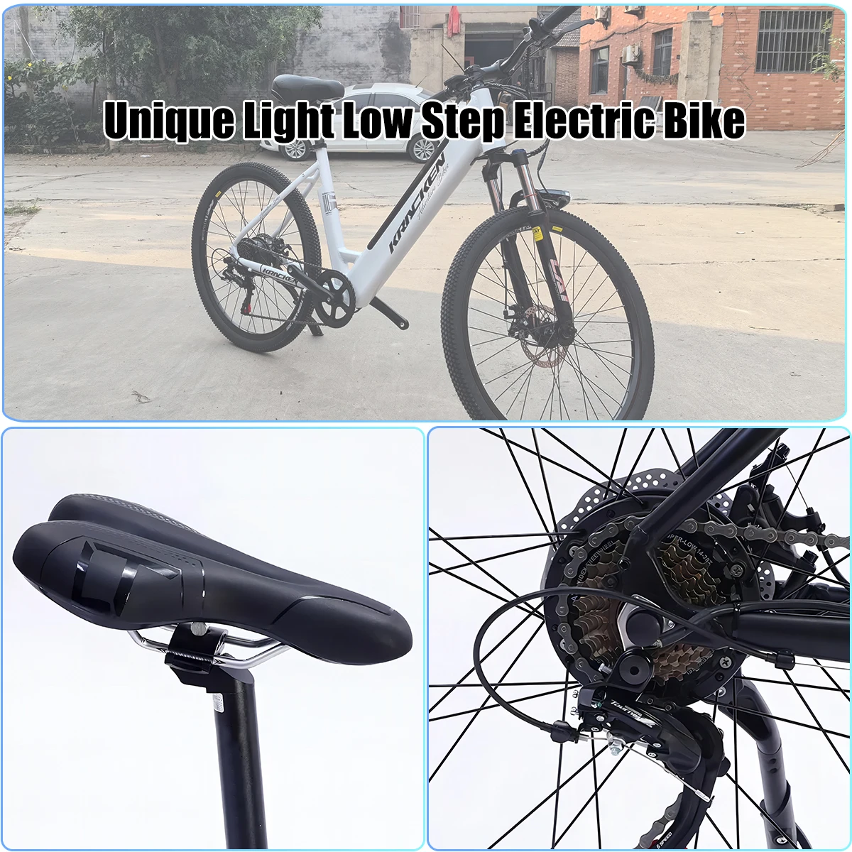 Factory Wholesale 48V Electric 26 Inch Durable Off-Road Adult Mountain Bikes Aluminum Alloy Frame Rear Carrier Hub Motor Shimano