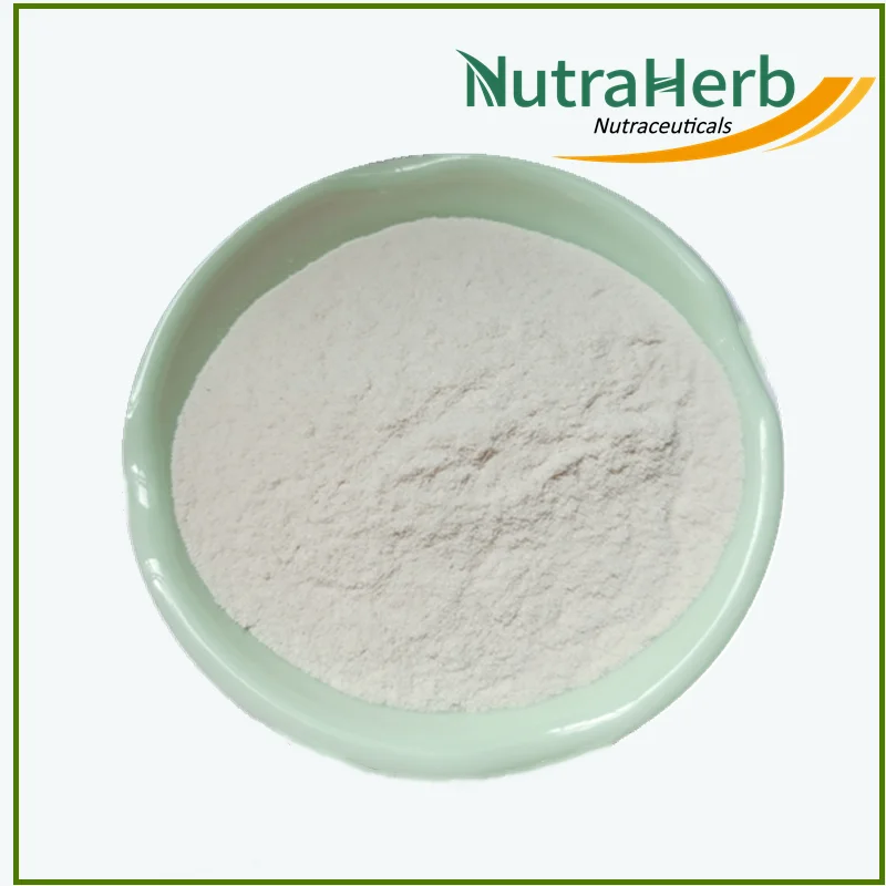 Manufacturer Supply Oyster Extract Powder Oyster Protein Oyster Peptide Powder for Drinks