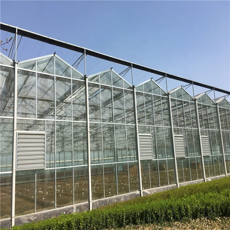 New agricultural greenhouse  Hydroponic Planting system for Growing Vegetables