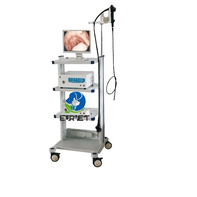 EUR PET Superior Quality Medical Endoscope Veterinary Equipment Practical Flexible Endoscope For Pet