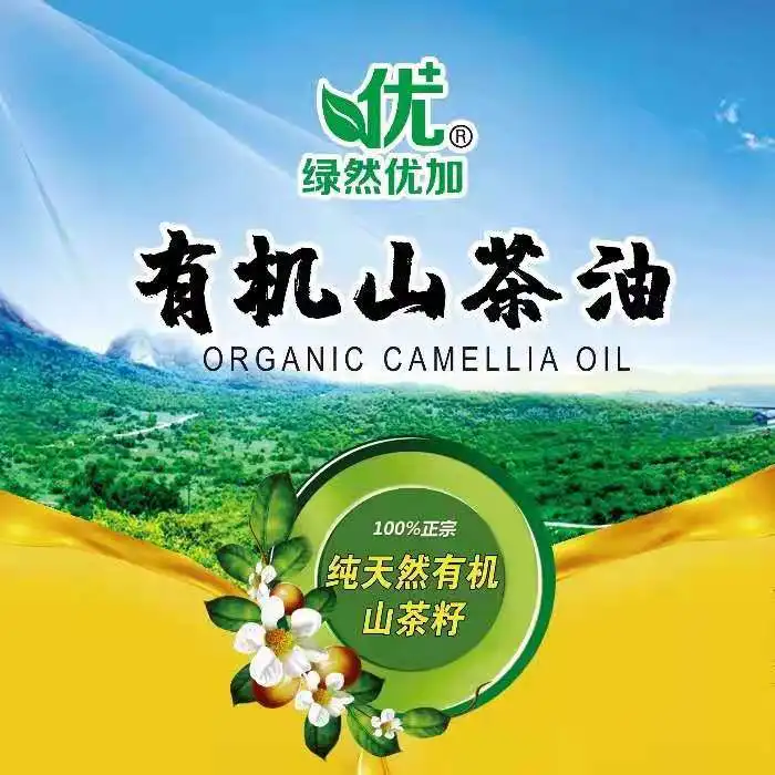 Manufacturer hot sales cold pressed organic pure camellia oil for cooking