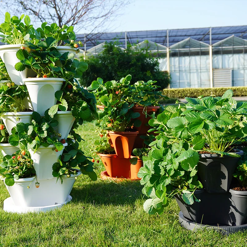 Strawberry Grow Pot Plastic Vertical Towers Garden Stackable Planter With Saucer