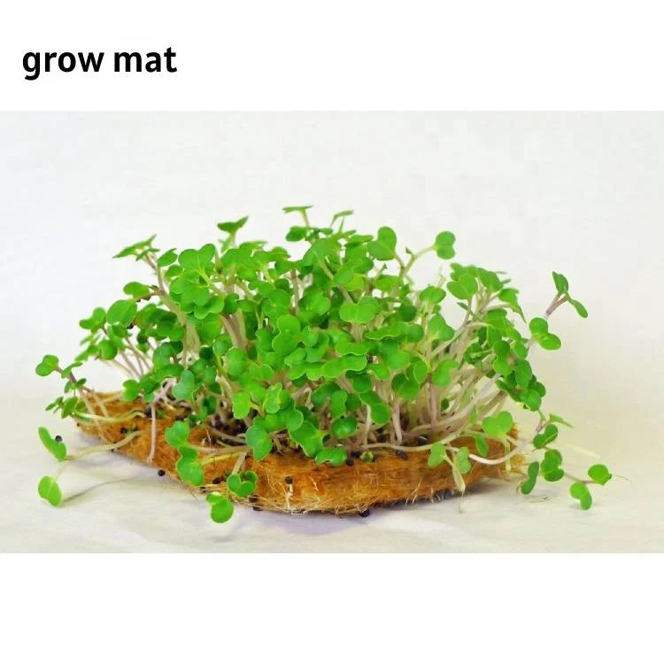 High Quality Jute Mats For Microgreens Jute Geotextile Jute Coconut Geotextile Mat For Erosion Control And Soil Stabilization