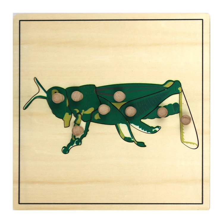 
 Manufacturer Wholesale New Design Montessori Puzzle Children Wooden Animal Grasshopper Jigsaw Toys  