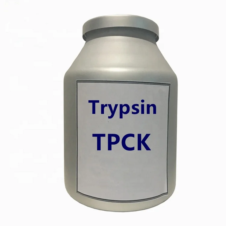 Высококачественный Трипсин TPCK Трипсин по лучшей цене