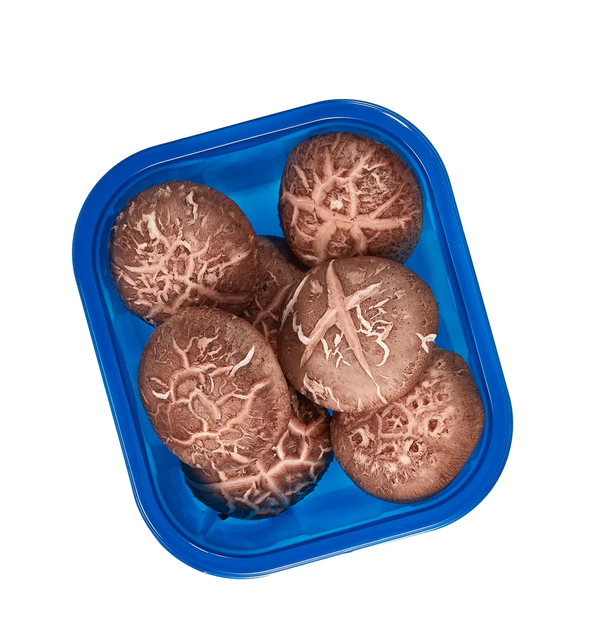 Blue Color Disposable PET Mushroom Container Plastic Packaging fresh Vegetable Packaging Tray
