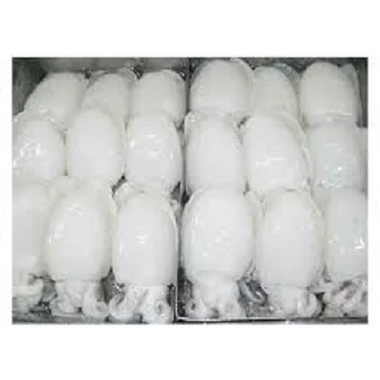 Hot sale Cuttlefish For Low Price