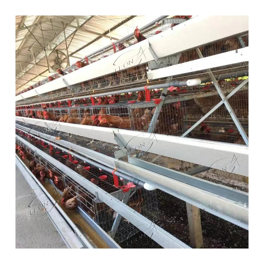 Fully Automatic Manual A Or H Wire Mesh Battery Egg Chicken Layers Cage For Sale Pakistan Poultry Farming Hen House Design Coop