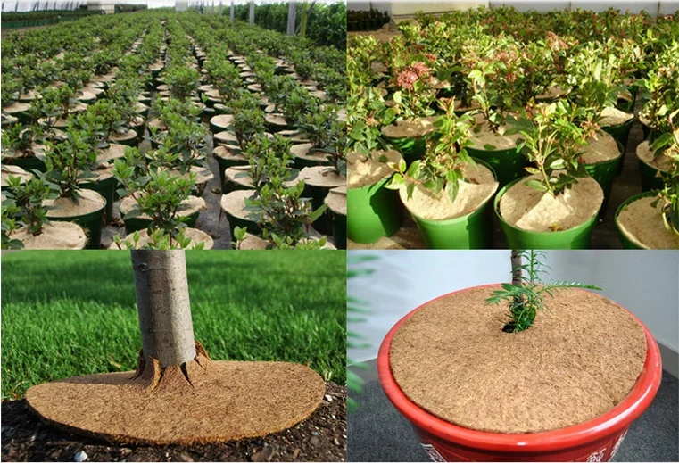Coir Mulch Mat натуральное экологически чистое Кокосовое волокно Tree Ring