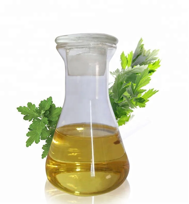 Manufacturer Supply Natural Artemisia Blumea Essential Oil Blumea Leaf Oil Mugwort Oil For Aromatherapy Massage
