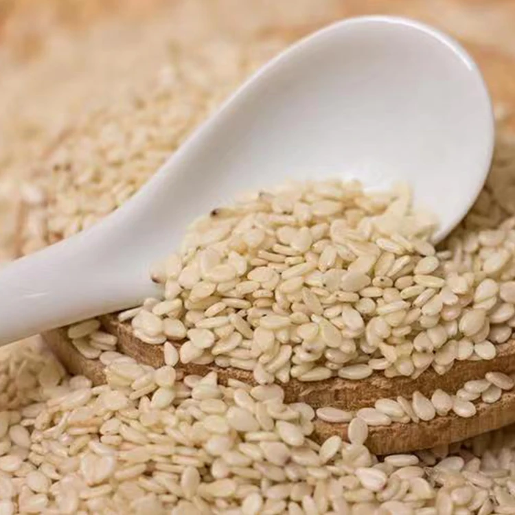 100% Natural White Sesame Seeds Hot Sale Unhulled Oil Sesame in Bulk