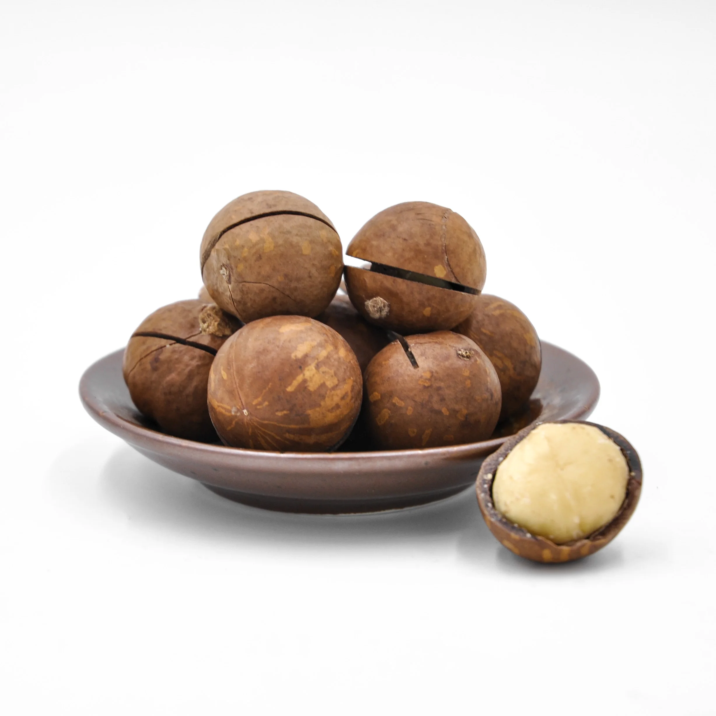 Wholesale Macadamia Nuts Factory Price Top grade Raw Macadamia Nuts