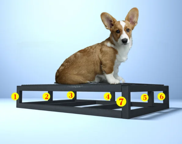 Wholesale Stainless Steel Dog Basins, Large Capacity Pet Toilets, Anti Bite Training Trays, Dog Toilets, Trash Cans