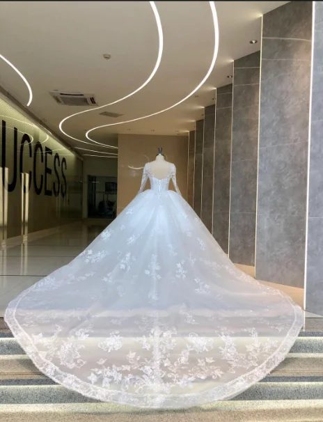 Champagne Wedding Dress 2021 Luxurious Long Sleeves Embroidered Cathedral/Royal Train Wedding Ball Grown