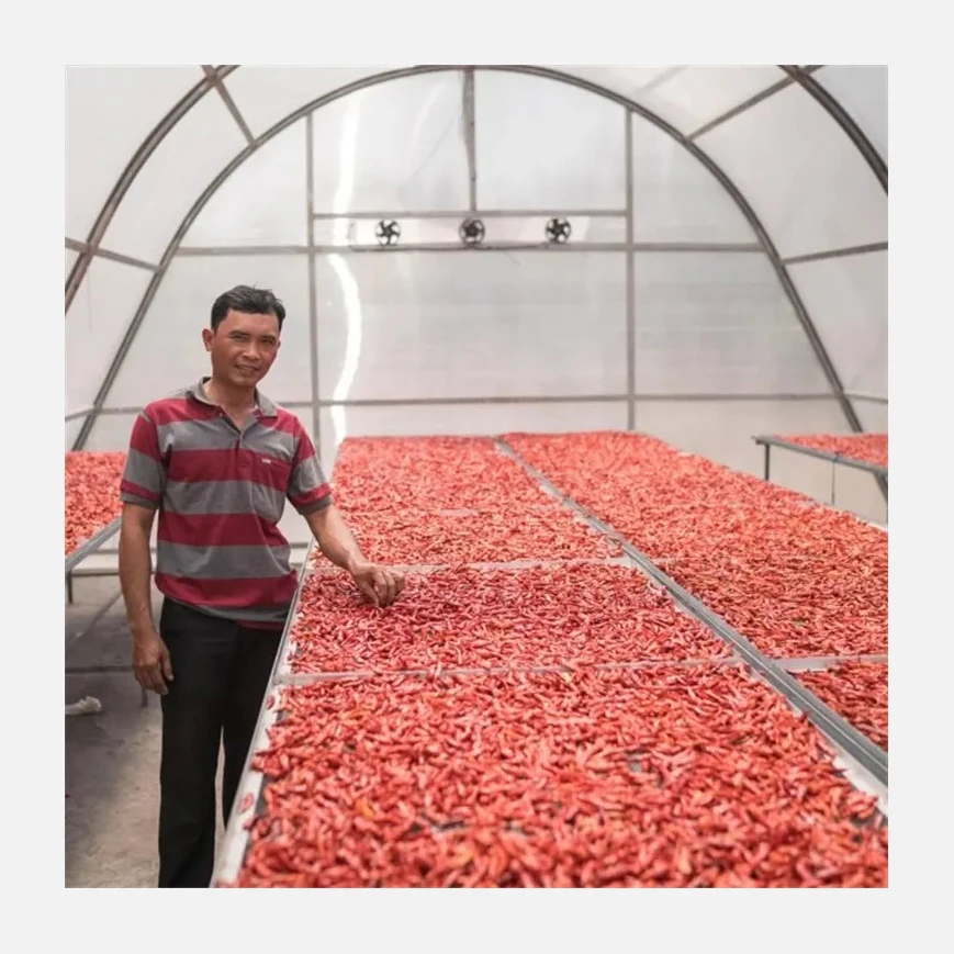 Сушильный лоток для пищевых продуктов солнечная сушилка теплиц кофе