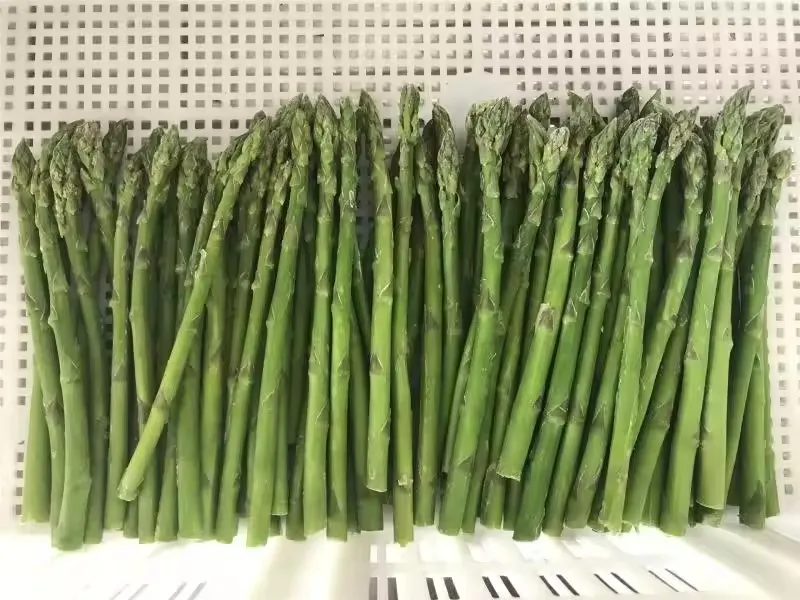 Wholesale Good Quality Frozen Green Asparagus Fresh Vegetables