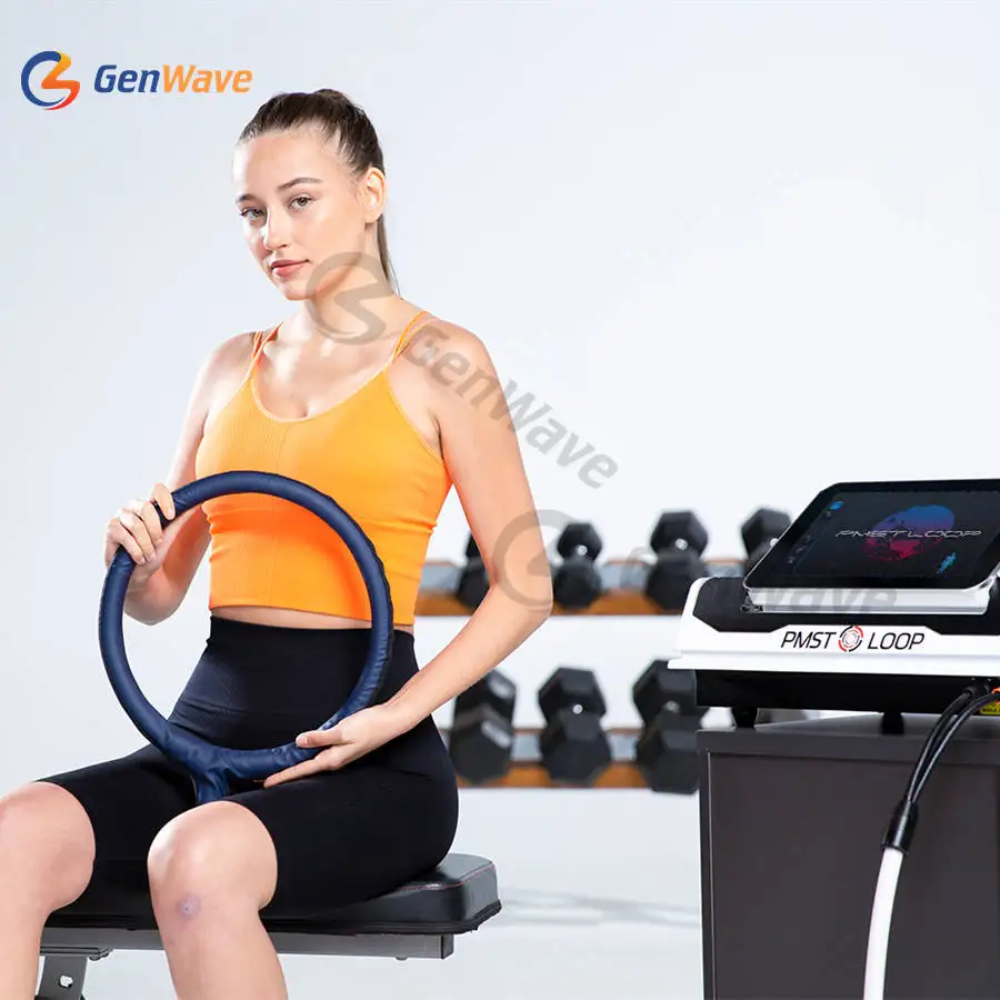 PEMF LOOP Pulsed Electromagnetic Field Pemf Equine PMST LOOP PRO MAX Magnetic Therapy Machine For Body Pain Recovery Machine