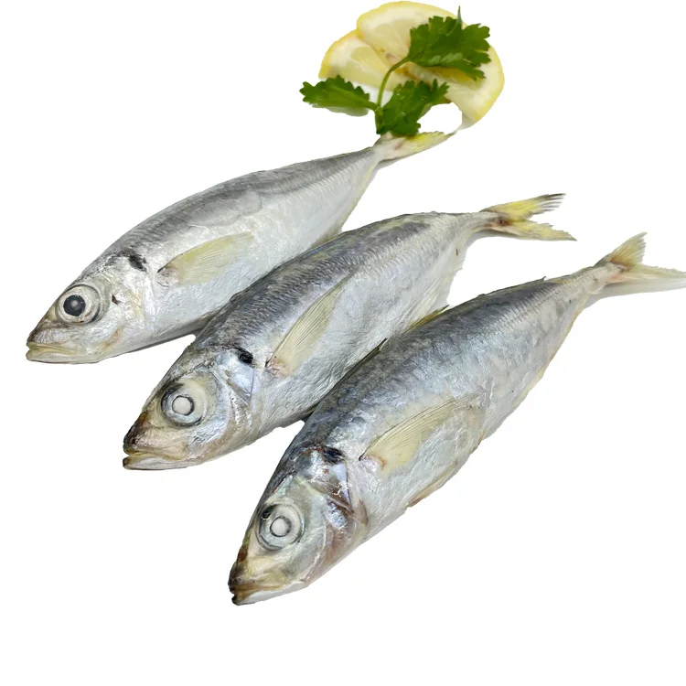 Новый сезон, яркие глаза, замороженная круглая скумбрия, рыба, скумбрия, конкурентоспособная цена и стабильные поставки