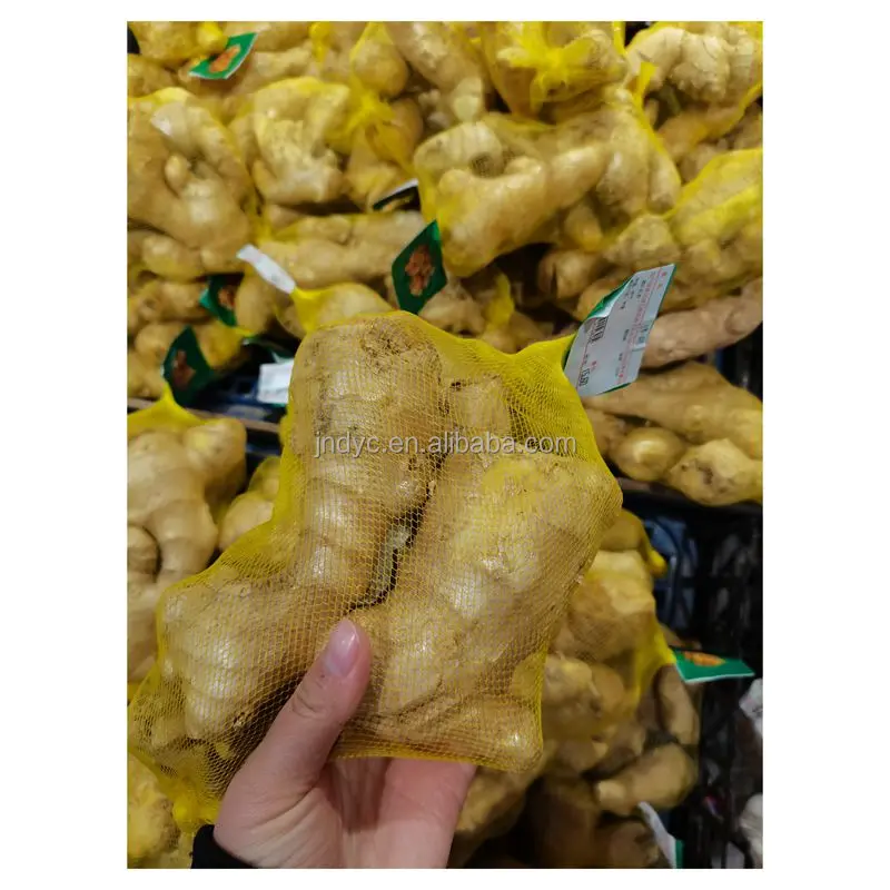 Custom plastic net extruder knot net bag onion packing net bag equipment