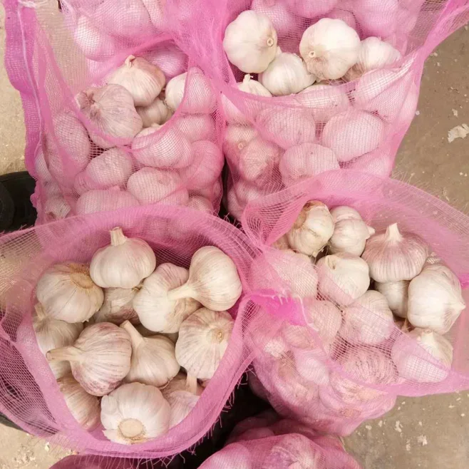 Chinese g1 garlic seeds 3p pure normal white peeled solo garlic fresh garlic mesh bag 20 kg china import in carton packing