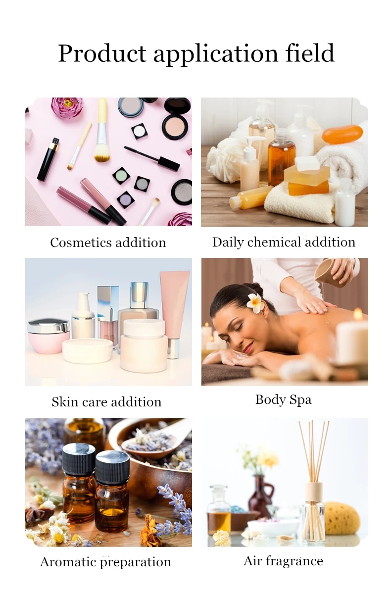 Aromatherapy Rose Fragrance Oil For Air Fresheners Bedroom Rooms Perfume Incense Diffuser Essential Oil Set