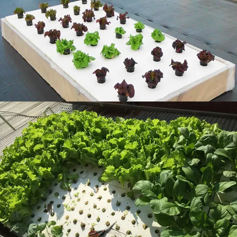 Wholesale Farm Cultivation Foam Sponge Board Hydroponic Vegetables seedling planting for Seedling Trays Plastic Nursery
