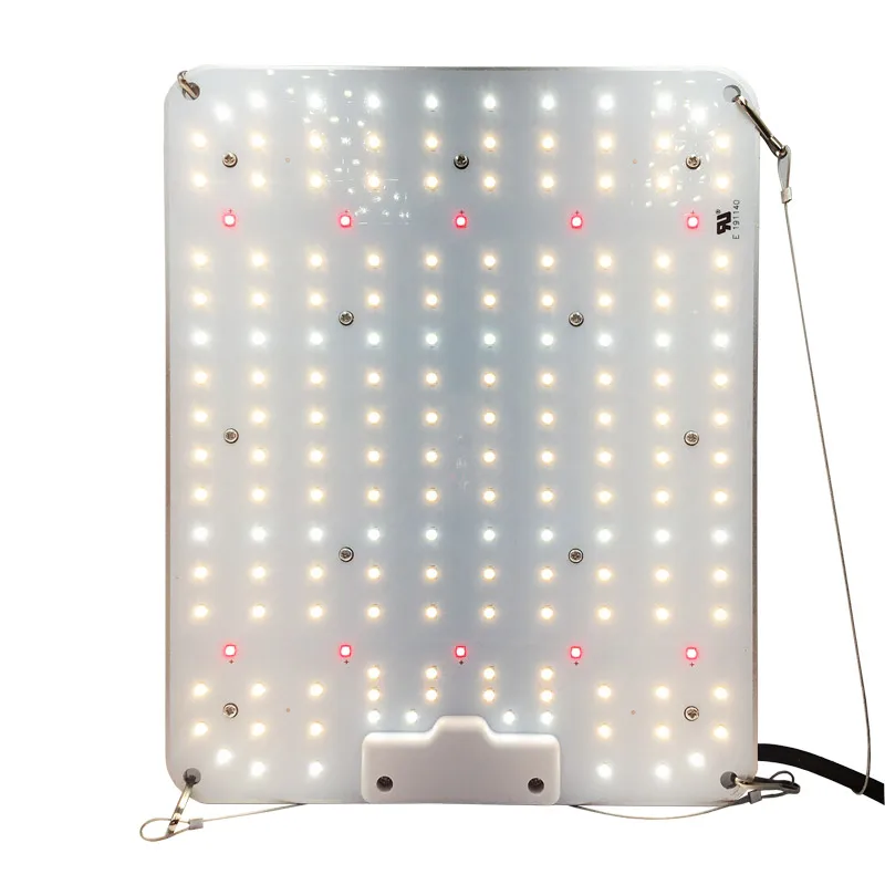 2.4umol/J 100W led plant grow light new design SMD3030+IR  Full spectrum led grow light Dimmable Led Grow Light