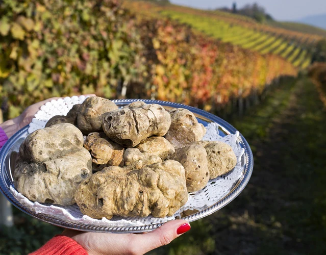 
Hot sale healthy 100% natural truffle creams sauce 