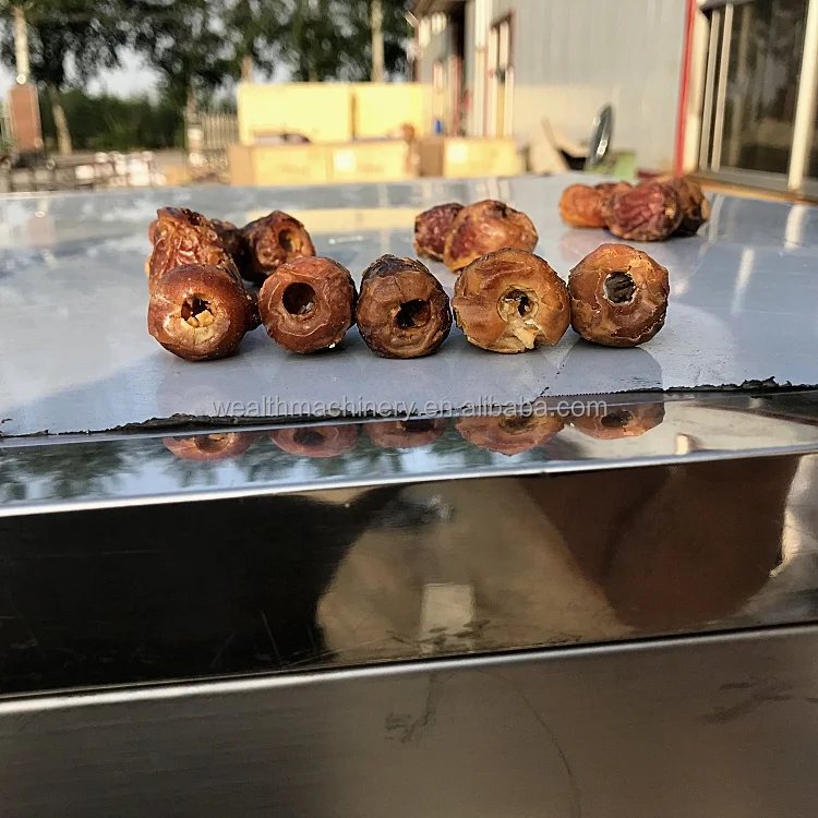 Apricot Peach Haw Jujube Cherry Olives Dried Plums Apples Seeds Core Kernel Removing Cutting Peach Dates Pitting Machine Price