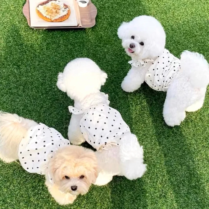 Qbellpet Newest Pet summer clothing ultra-thin sun protection dress for cats teddy bears Yorkshire puppy clothing