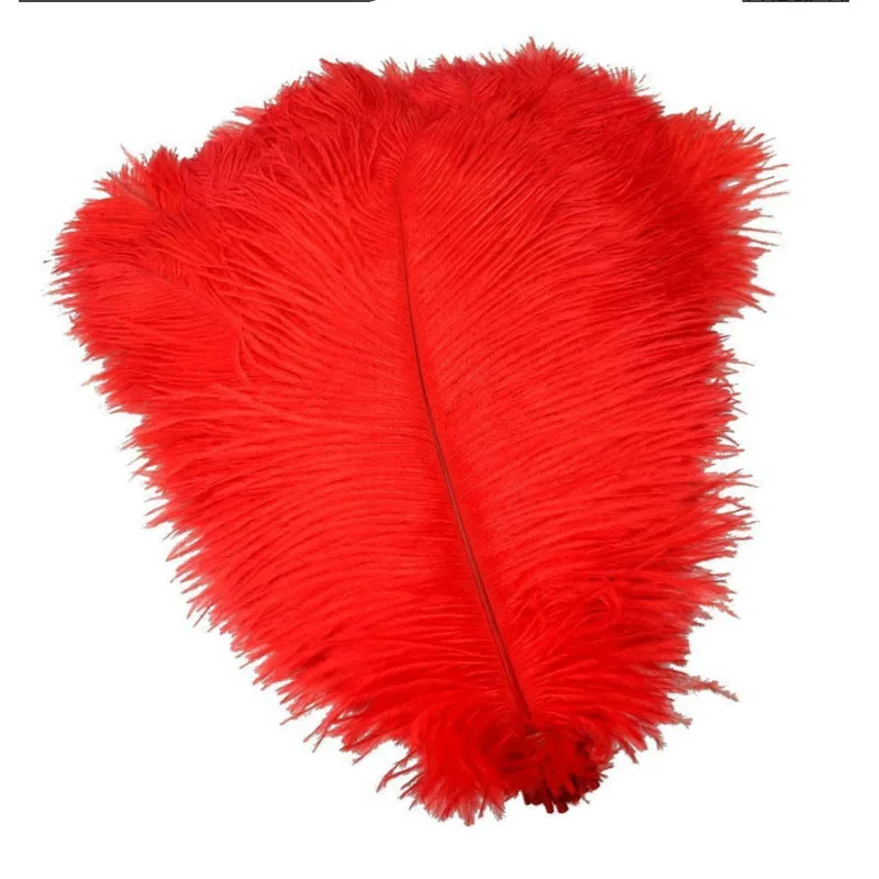 Wholesale High quality Cheap red bulk large ostrich feather