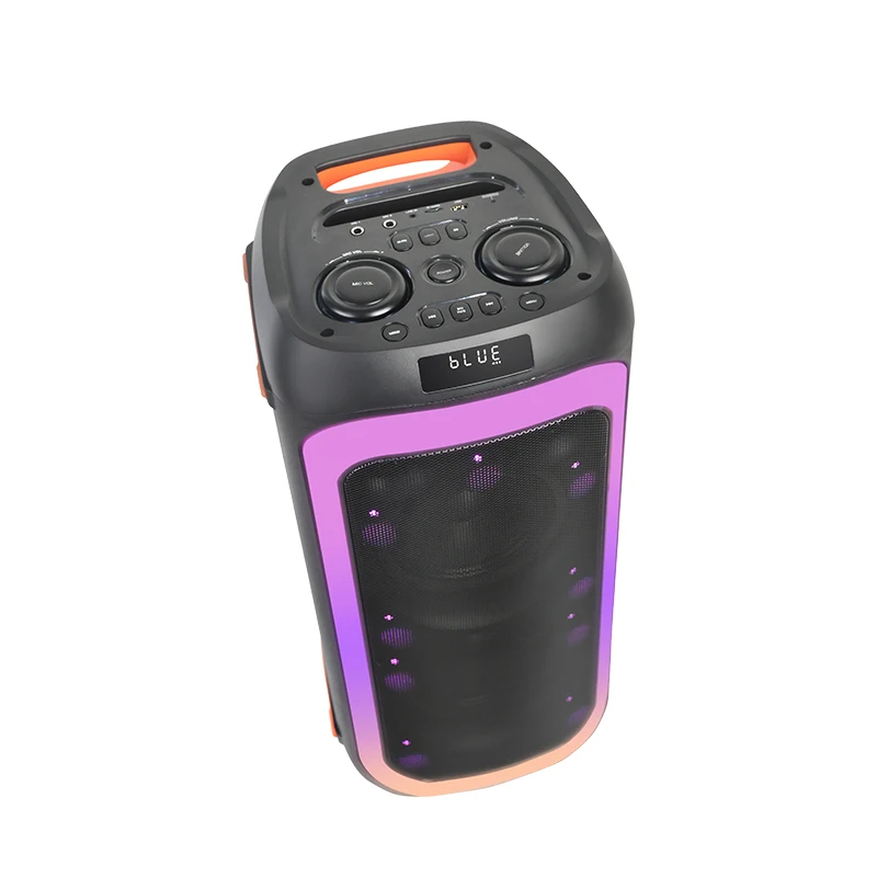 Temeisheng TMS-639 Dual 6.5 Inch Karaoke Speaker Best seller OEM customize Dynamic Light Show Active Sound System for Home Party