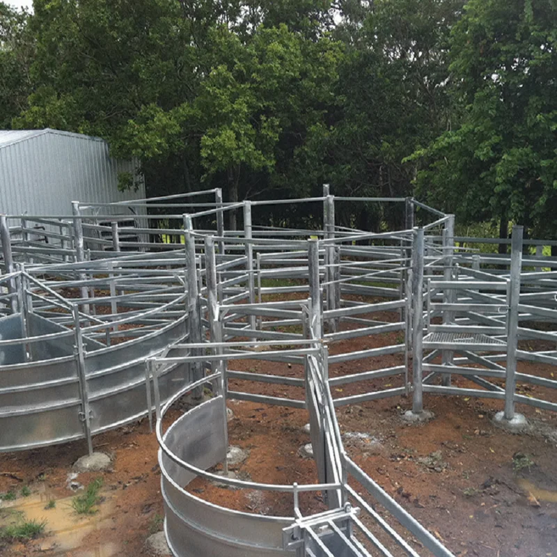 cattle panels (11).png