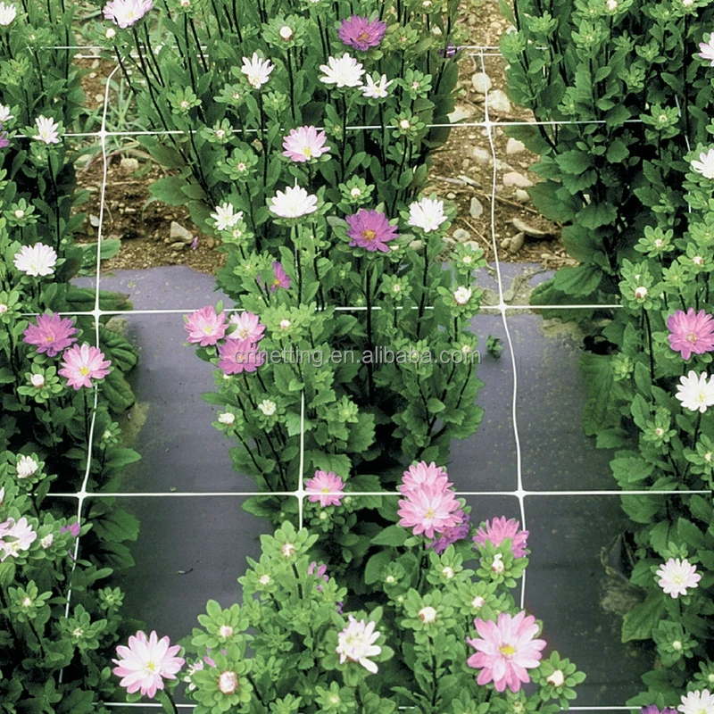 5 x 3280 ft Vine Line White Plastic Garden Trellis Netting roll (Roll Package)