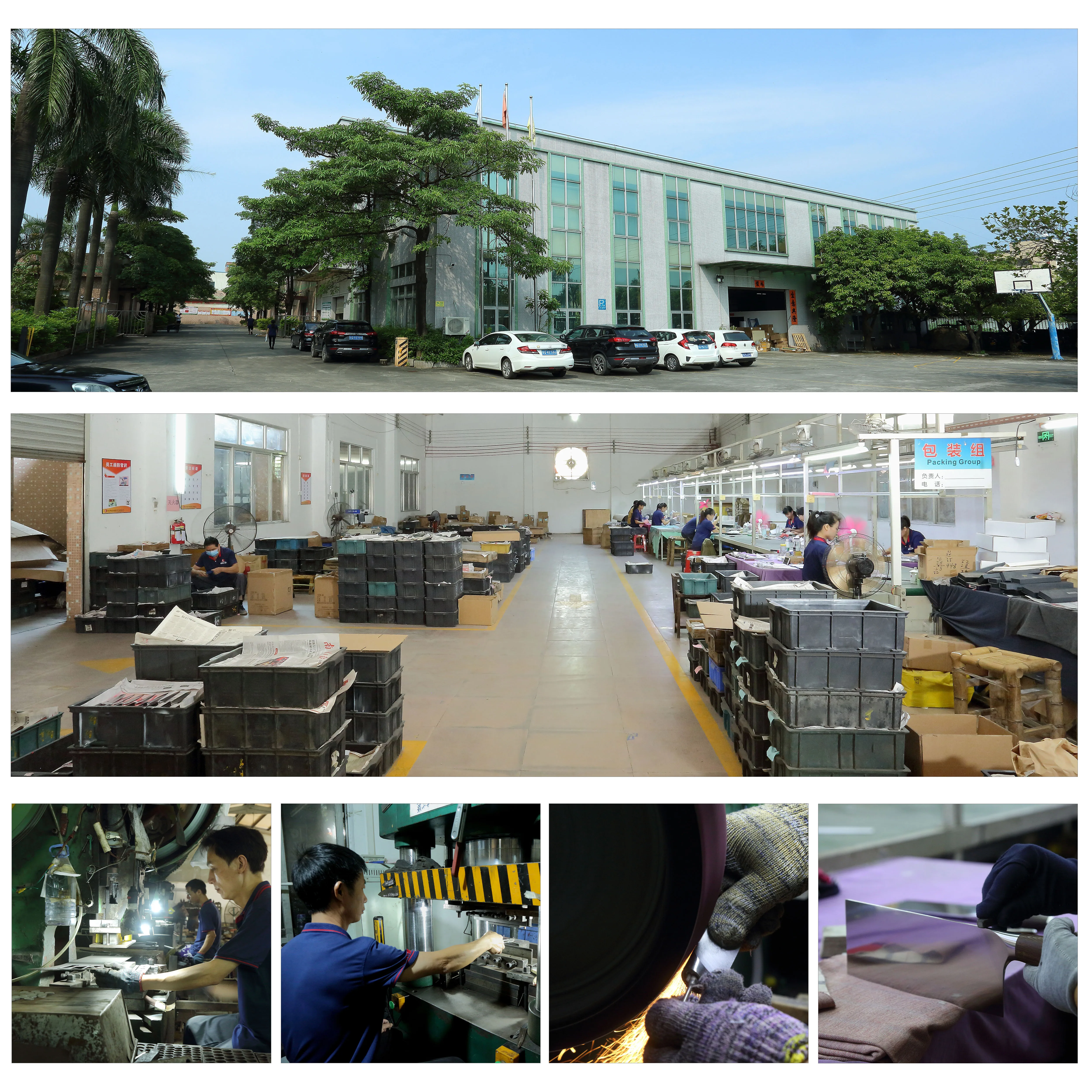 Professional Angle 3 in 1 Safety Professional Motorized Kitchen Tool Electric Knife Sharpener Steel Coarse Fine Knife Sharpener