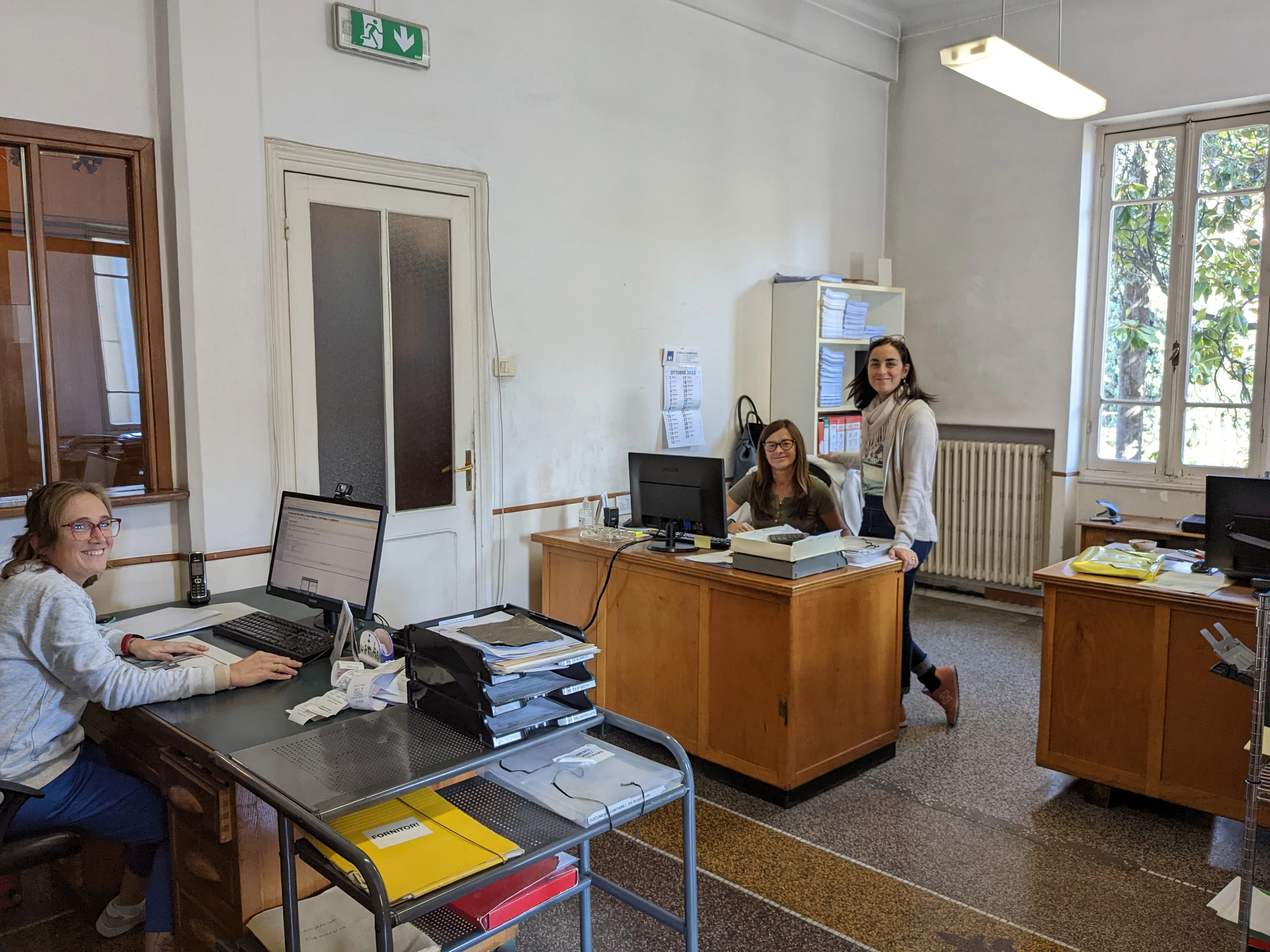 Итальянское оливковое масло для оптовой продажи Calvi Экстра девственное приготовления пищи Mosto Classico