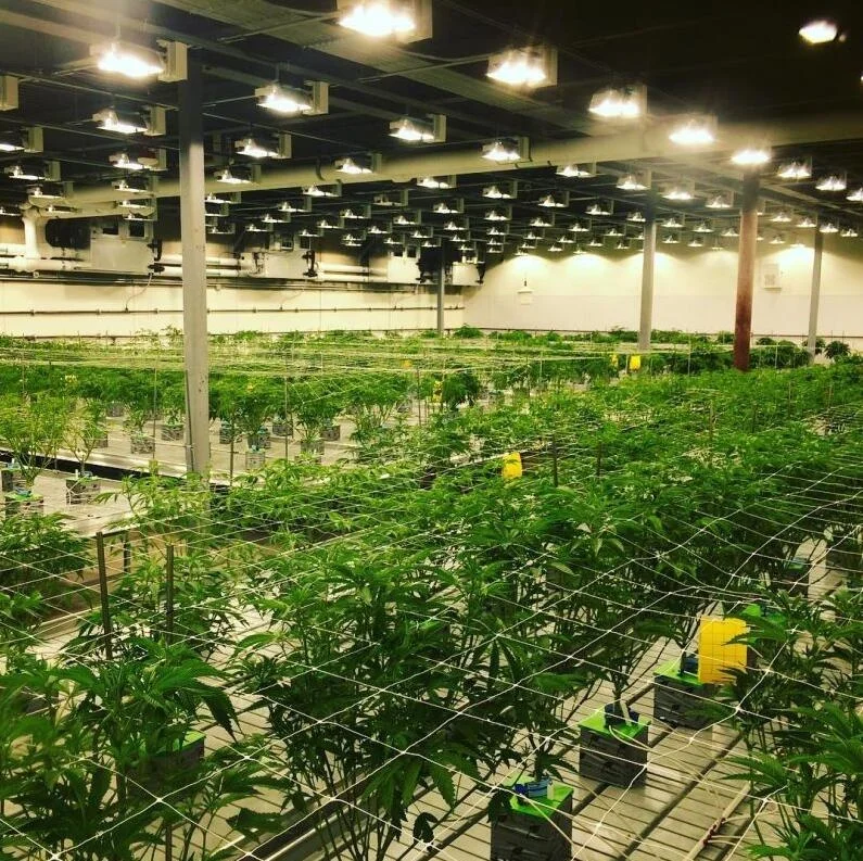 
Горячая Распродажа, коммерческая сельскохозяйственная подвижная автоматическая система, прокатная скамья с рейками 