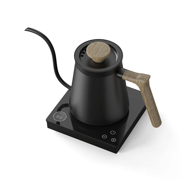 Ranbem Flash Boil and Keep Warm Settings Pour Over Kettle Brewing Tea Electric Coffee Pot with Thermometer