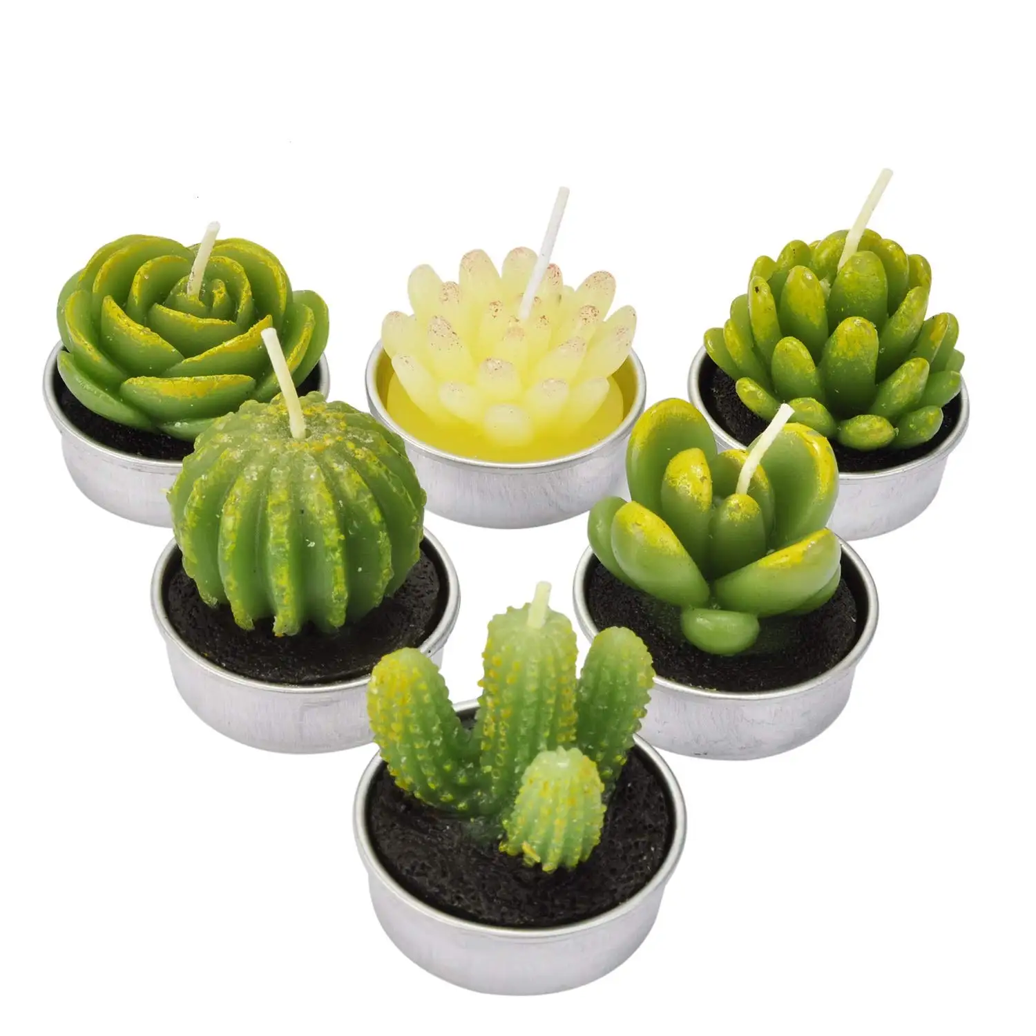 26g Custom Design 6 Pack Set Succulent Green Plants Mini Cactus shaped Carved Candles