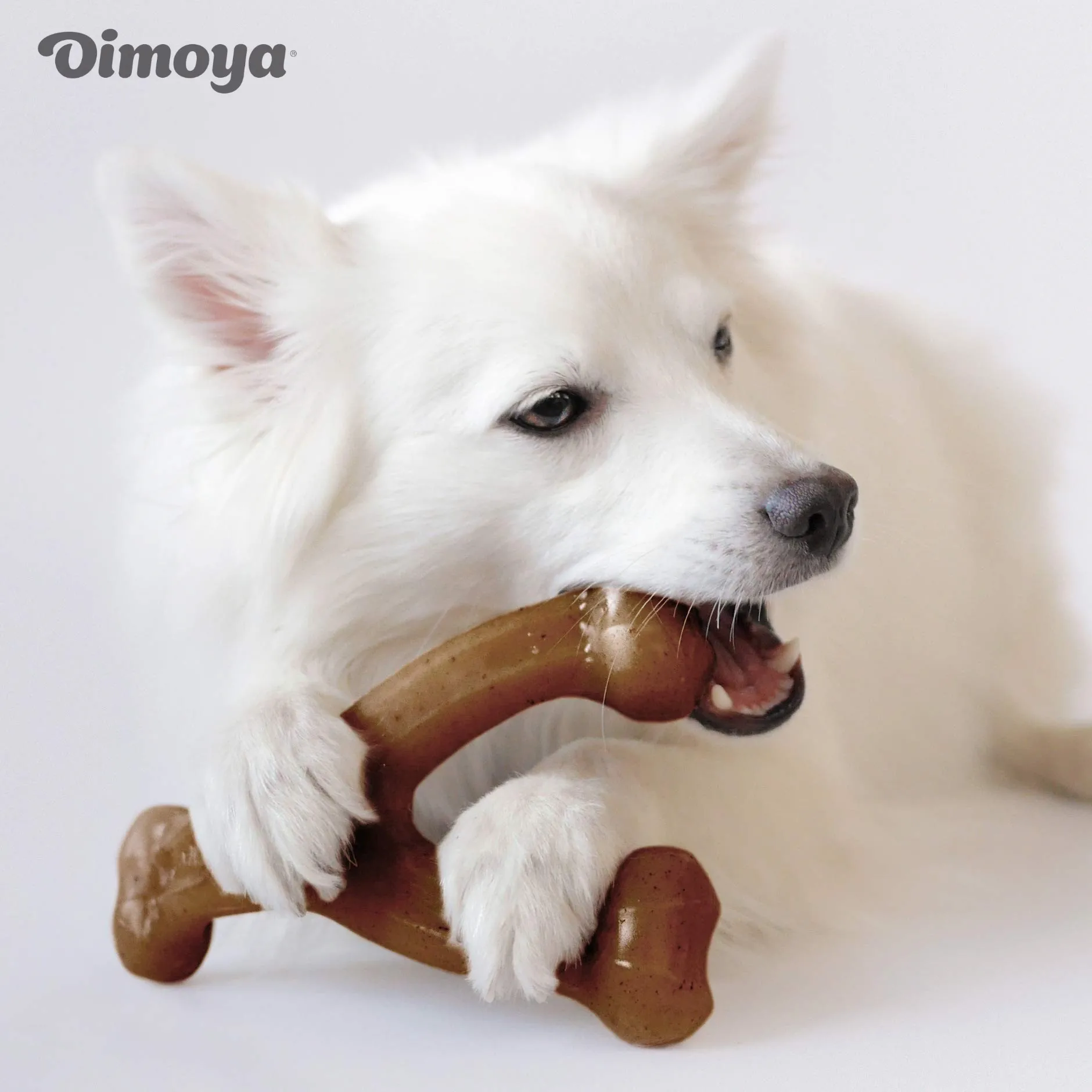 Interactive Medium Durable Dog Chew Toy For Training Aggressive Chewers Interesting Molar Pet Toy
