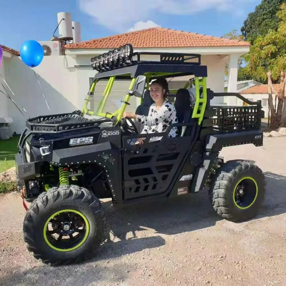 2 seat 1000cc dune buggy 4x4