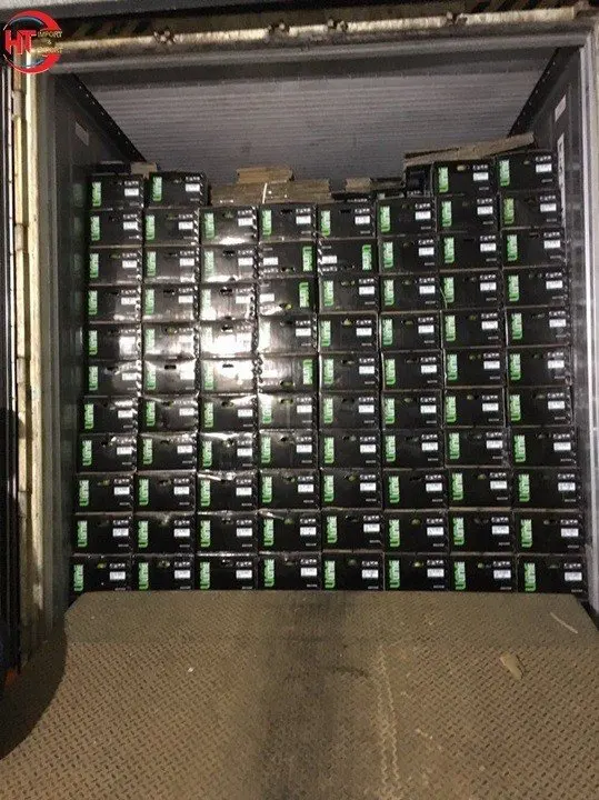 Wholesale Top Quality Fresh VIETNAMESE Green Lime/ Lemon cheapest price wholesale/ Lemon Fresh Lime in Bulk