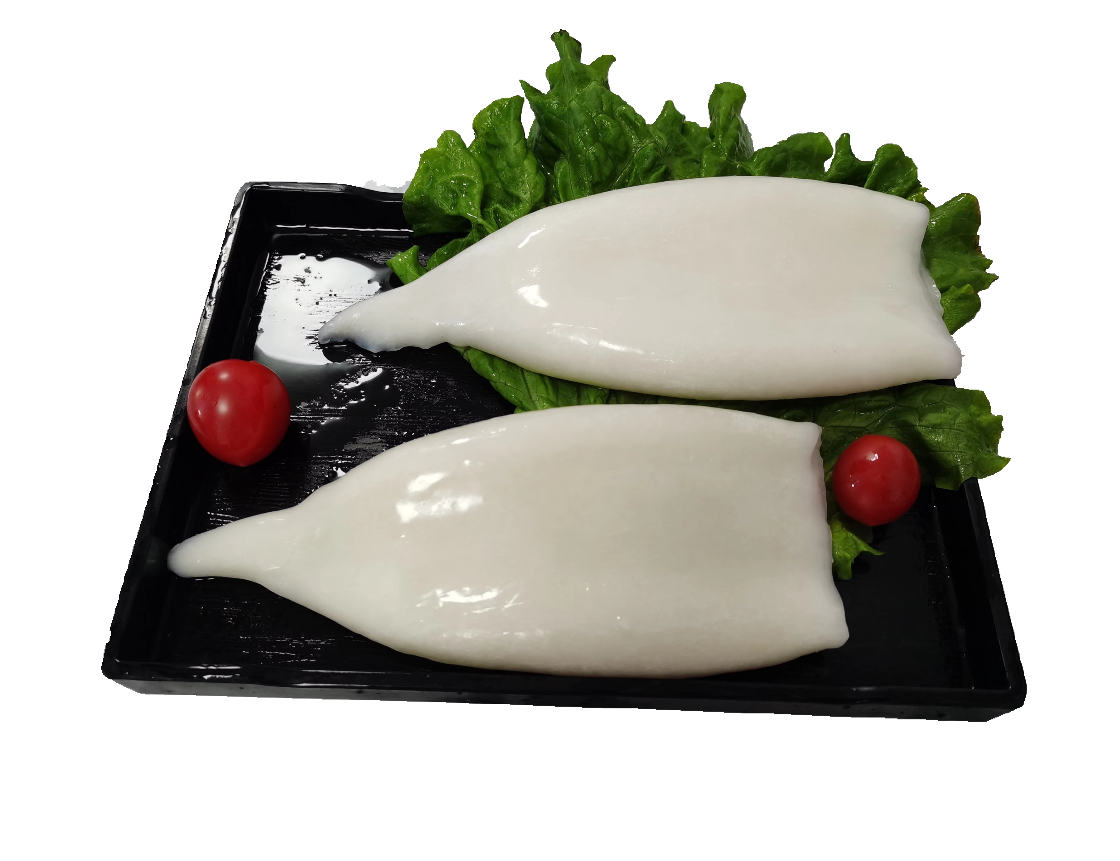 Frozen seafood frozen squid tubes u5 u10 u20