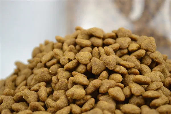 small dogs bulk dog food