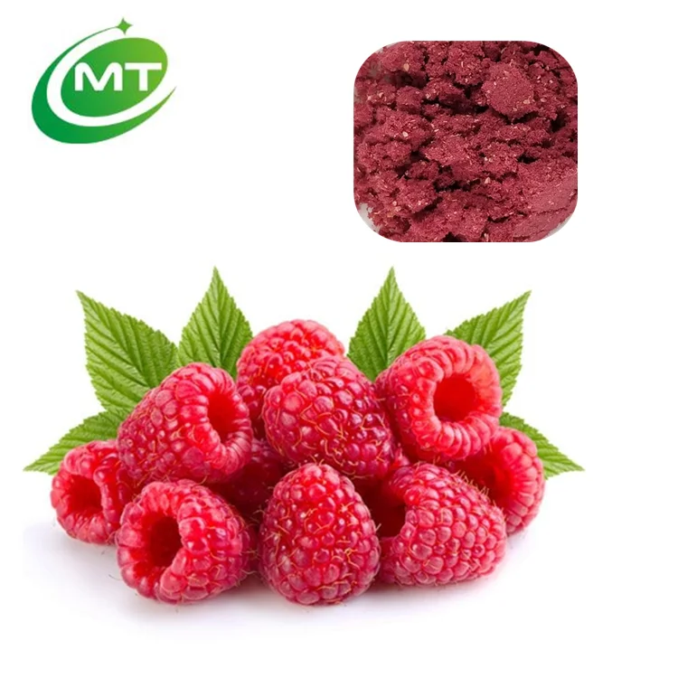 Free Sample Organic Natural Tasty Superfood Freeze Dried Raspberry Powder/Raspberry Fruit Powder for Drink and Baking