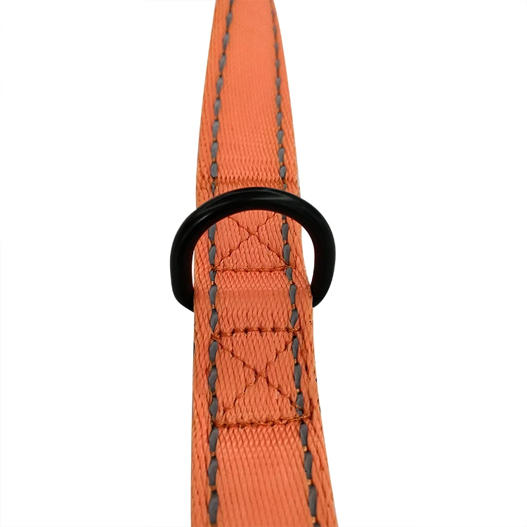 Custom Brand Name Logo Printed Nylon Reflective Dog Training Leash For Sale