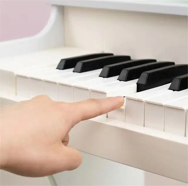 Kids Piano Keyboard Digital Piano For Kids Mini Music Educational Instrument Toy Wood Piano For Toddlers Girls Boys