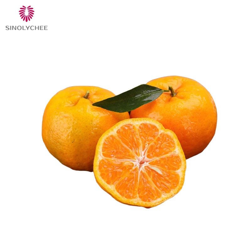 Fresh citrus fruits Navel oranges mandarin fruits wholesale top China citrus mandarin orange