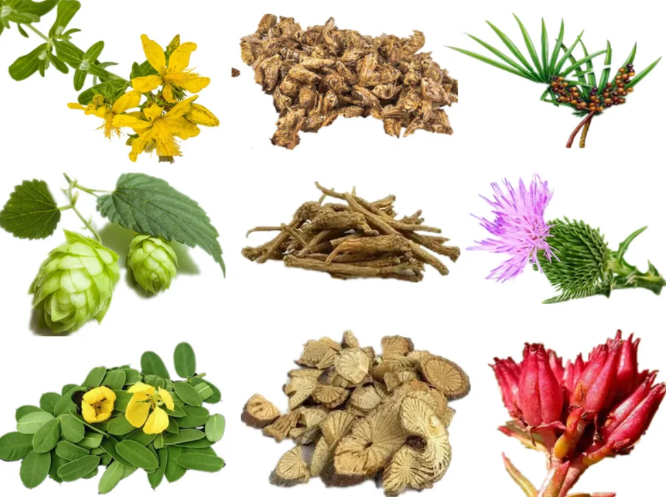 98% Curcumin powder Raw Material for Turmeric Skin Care Food Additives from Turmeric Root Powder Process