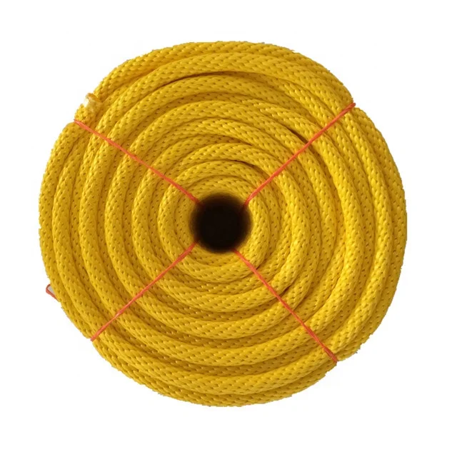 
16mm Durable poly horse lead rope halter with cheap price 